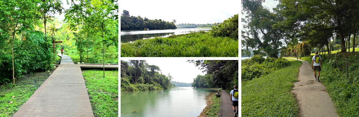 MacRitchie Reservoir